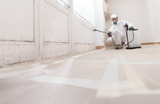 24/7 Emergency Mold Inspection experts in Quincy, MA